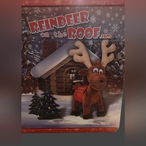 Reindeer on the Roof